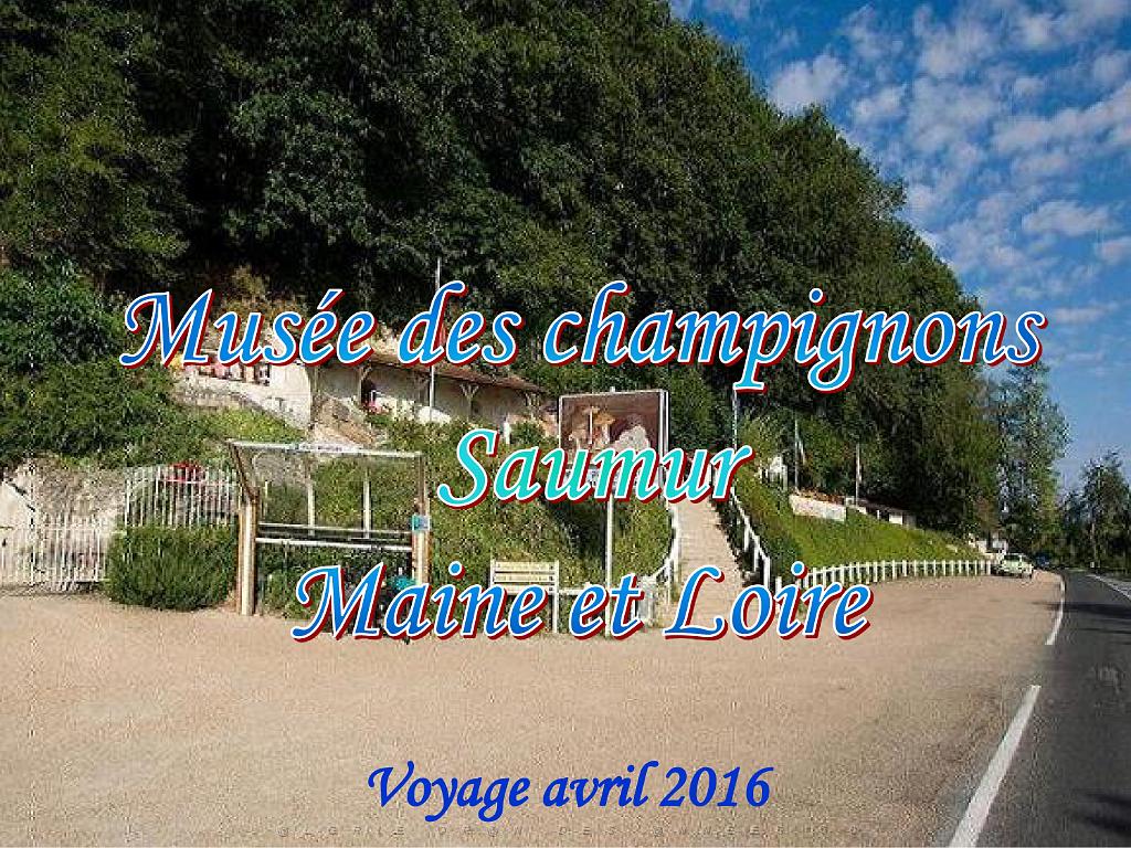 149 MUSEE DU CHAMPIGNON A  SAUMUR 2016 1_000001.jpg